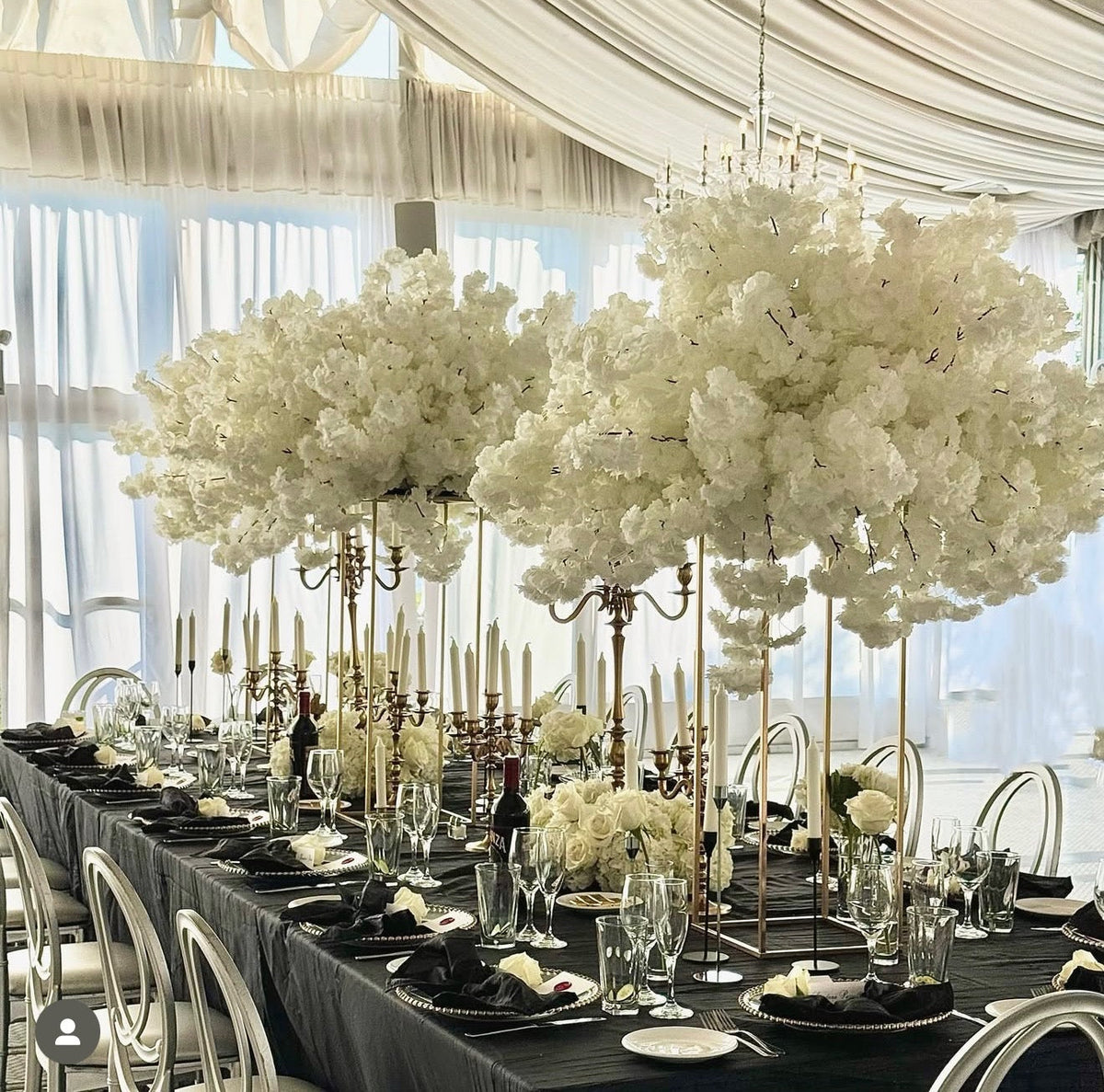 birthday party venue in staten island